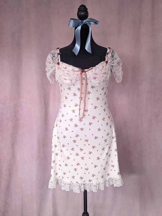 Lacemade Other - Lacemade Rosebud Lace Garden Mini Dress – XL